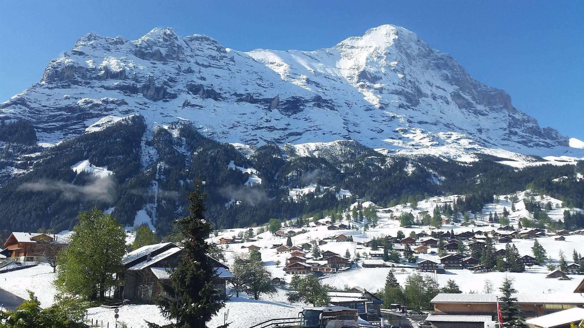 Apartment Stotzhalten 2.5 - Griwarent Ag Grindelwald Eksteriør bilde